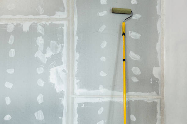 Trusted Otsego, MN Drywall & Painting Services Experts